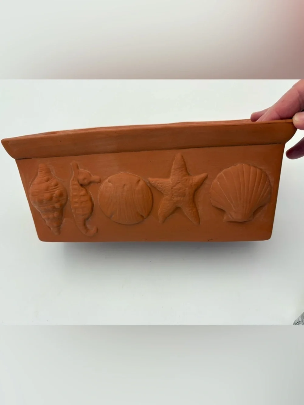 Terracotta Beach/Shell Motif Planter Tray - Sea Life Relief -Rectangular